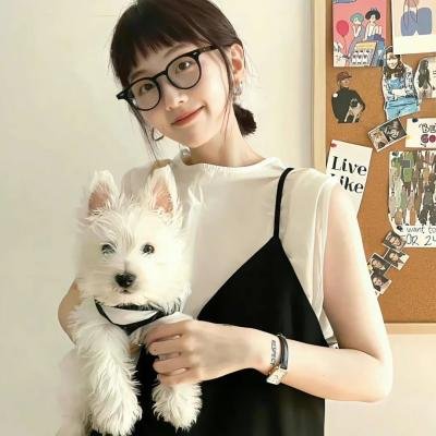 开始跳舞吧第三季 封面